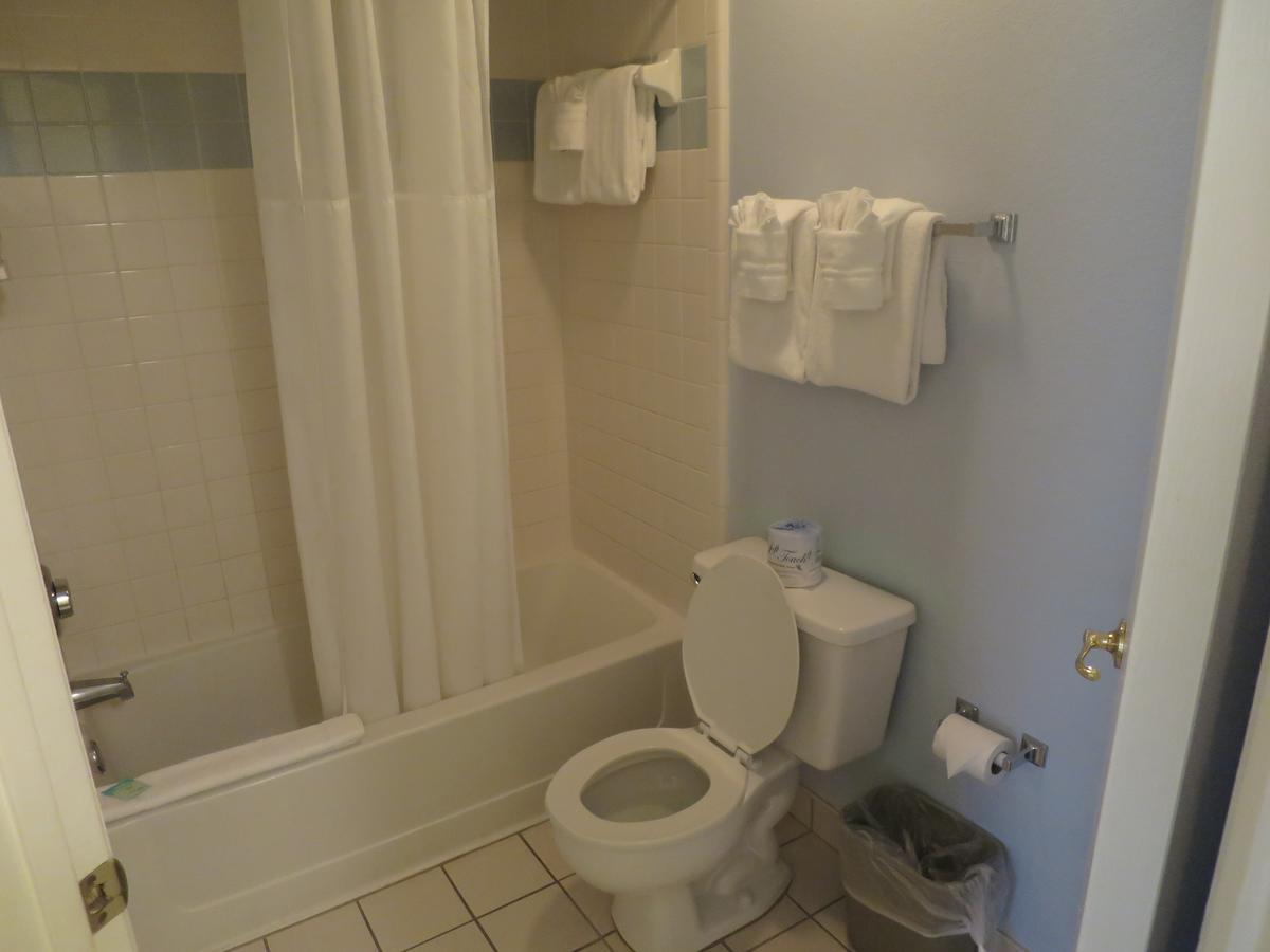 One Bedroom B